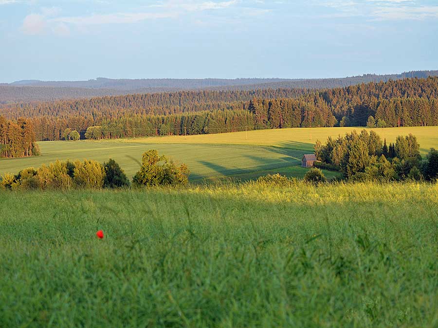 Aus dem Album OT Röttersdorf - 