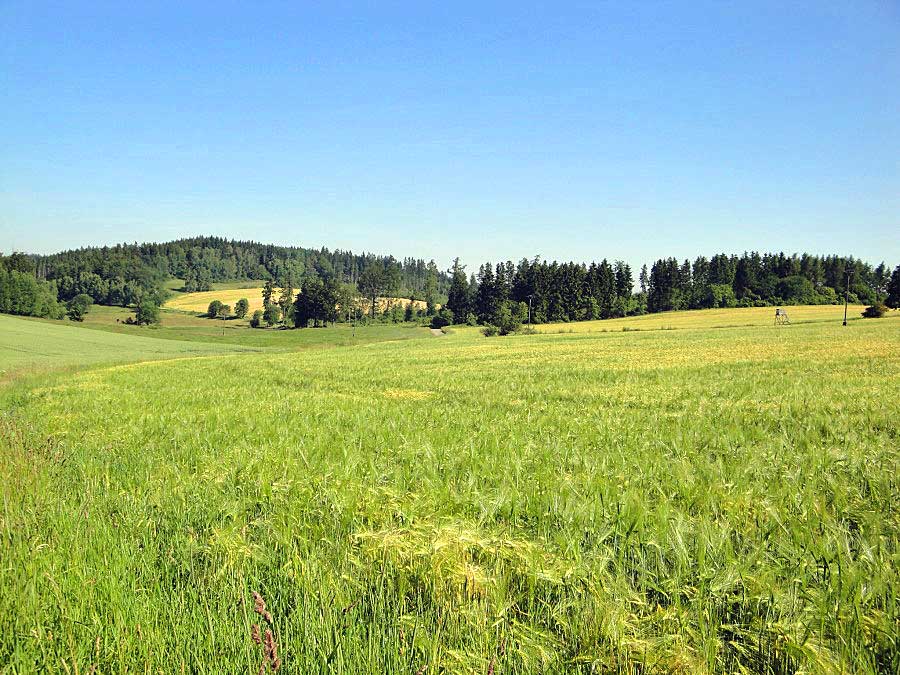 Aus dem Album Landschaftsbilder - 